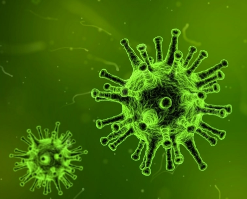 imagen de coronavirus en color verde