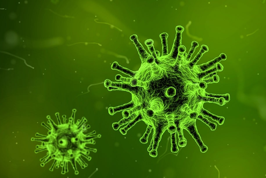 Ejemplo del virus de la COVID 19 en verde