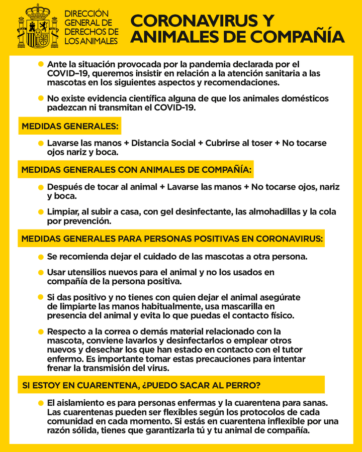 Cartel de govierno de España con respecto a las medidas que debemos tomar para las mascotas mientras dure el coronavirus