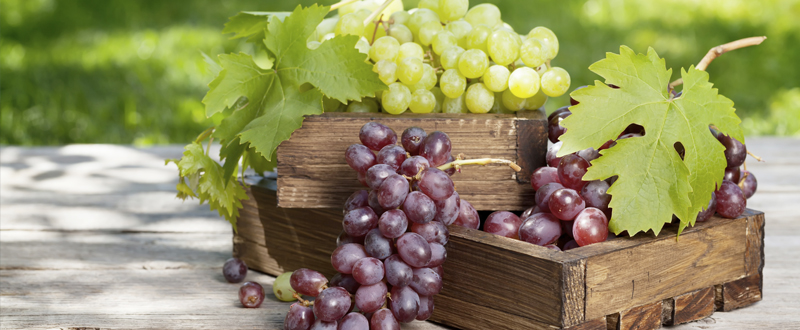 uvas blancas y rojas en cajas, alimentos que aportan energía para hacer deporte