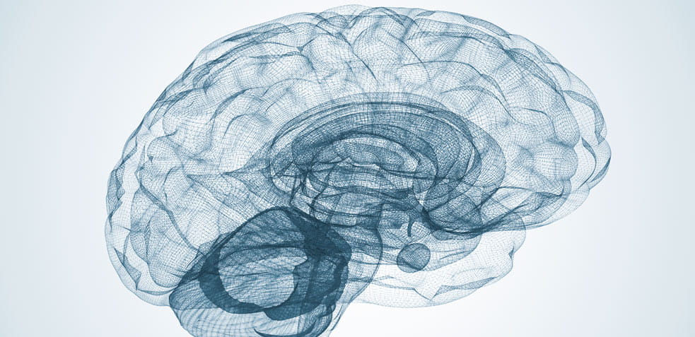 imagen de un cerebro hecho con líneas