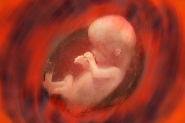 Ilustración de un feto sobre un fondo rojo