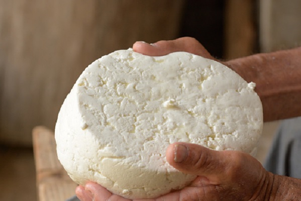 The benefits of cheese depend on its raw material
