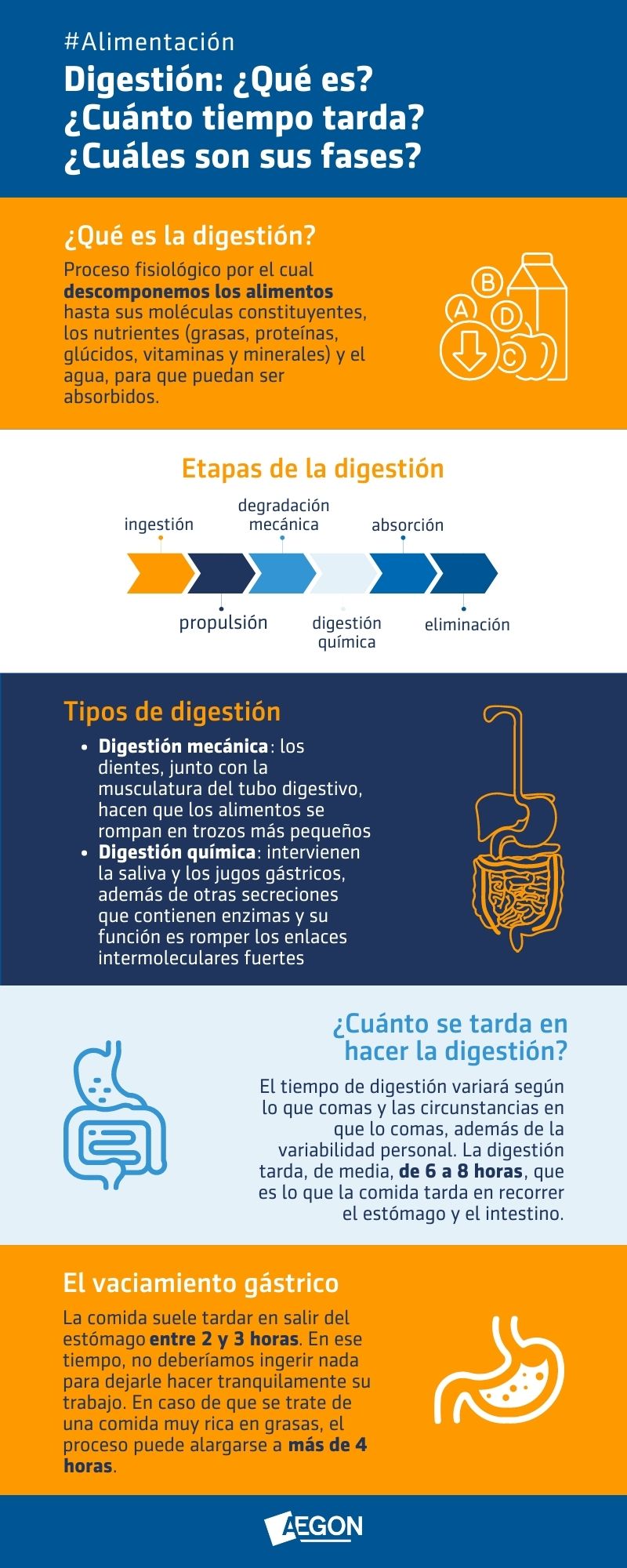 infografía sobre qué es la digestión