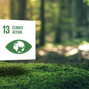ODS 13: acción por el clima