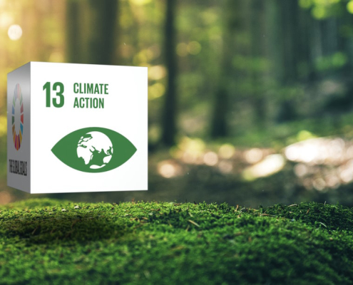 ODS 13: acción por el clima