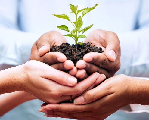 Plantas, manos y trabajo en equipo de empresarios para el crecimiento ecológico, el apoyo a la sostenibilidad y la agricultura.