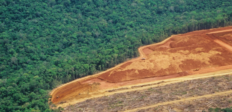 deforestacion amazonas bosque