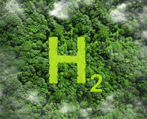 hidrogeno verde bosque