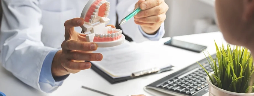 Dentista mostrando la anatomía de una mandíbula