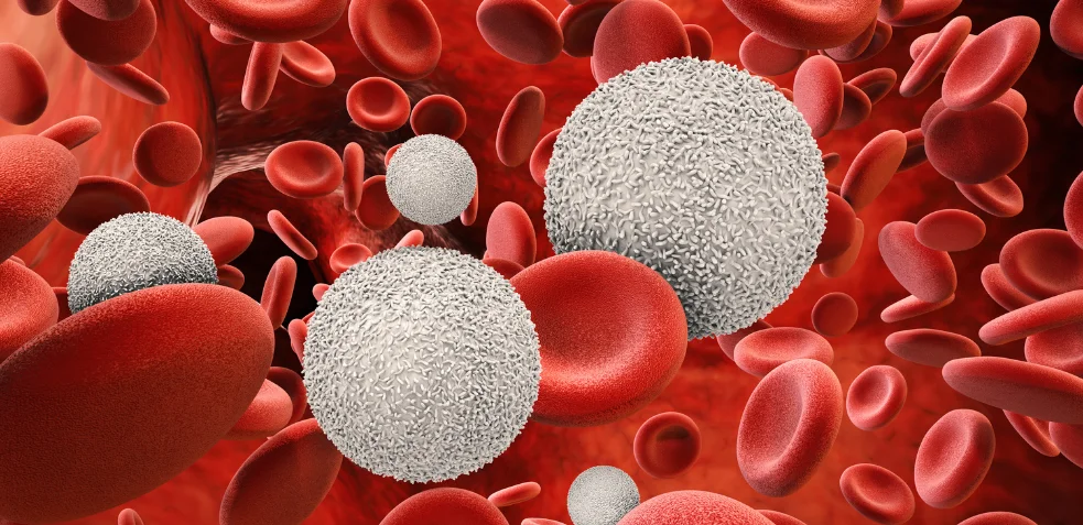 representación microscópica de glóbulos rojos en la sangre