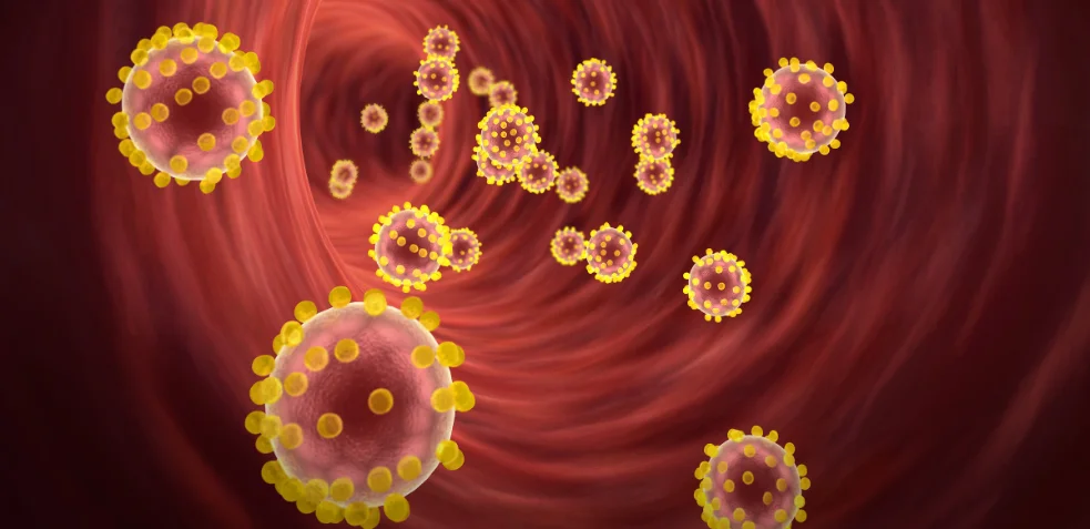 Representación de colesterol LDL en el torrente sanguíneo