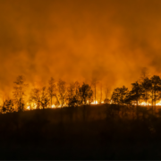 incendio forestal nivel 1