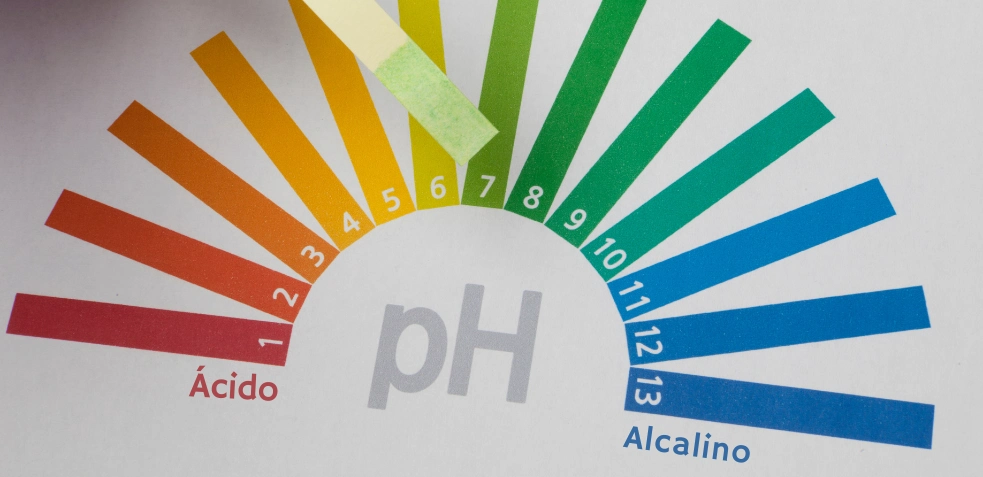 Beneficios de mantener el ph regulado con la dieta alcalina