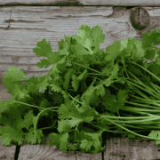 propiedades del cilantro para la salud