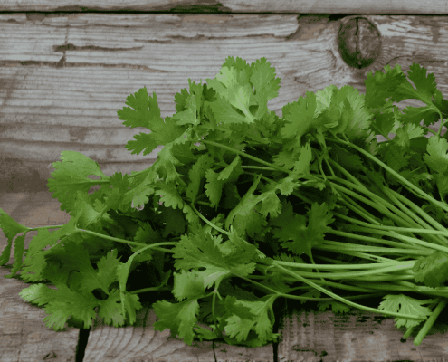 propiedades del cilantro para la salud