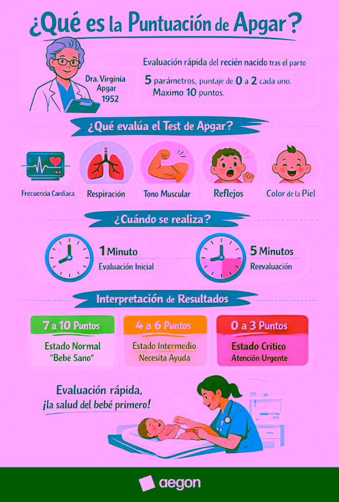 Infografía que explica la puntuación de Apgar y sus criterios